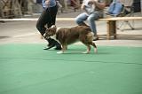 IMG_1472