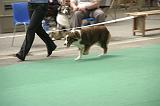 IMG_1475