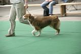 IMG_1477