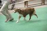 IMG_1479