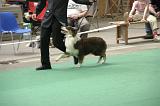 IMG_1481