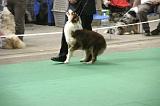 IMG_1482