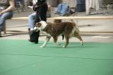 IMG_1484