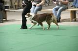 IMG_1485