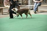 IMG_1486