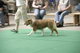 IMG_1488