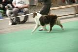 IMG_1493
