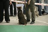 IMG_1497