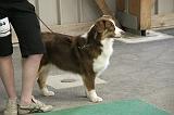 IMG_1508
