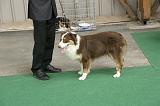 IMG_1509