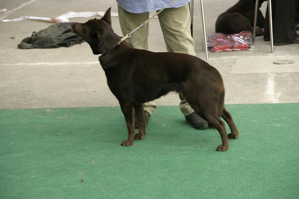 IMG_1818.JPG