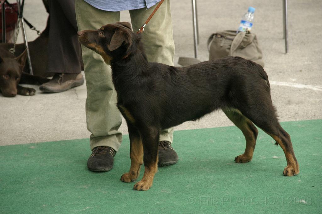 IMG_1847.JPG