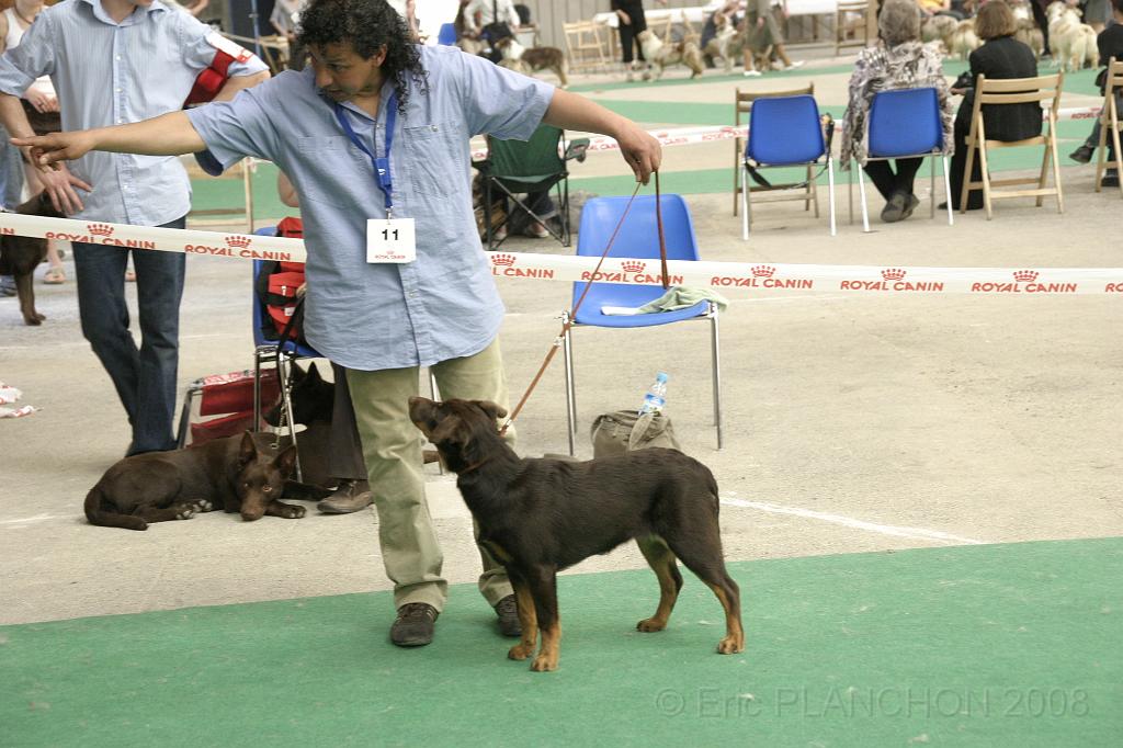 IMG_1851.JPG