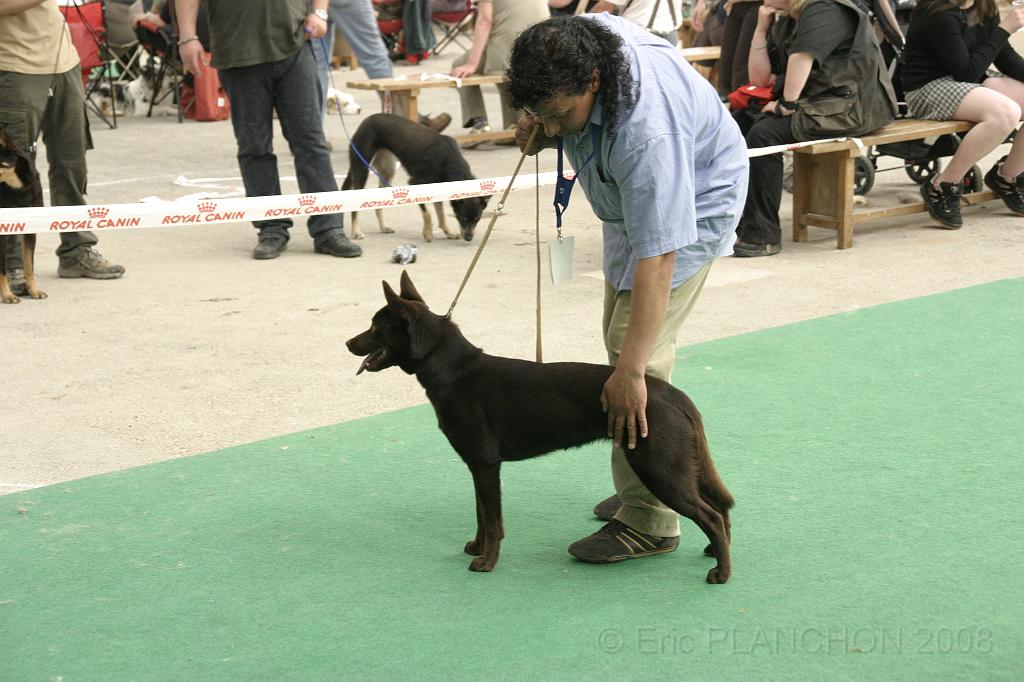 IMG_1856.JPG