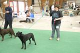 IMG_1744