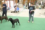 IMG_1745