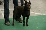 IMG_1748