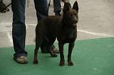 IMG_1749