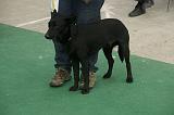 IMG_1750