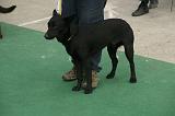 IMG_1751