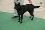 IMG_1753