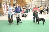 IMG_1772