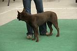 IMG_1777