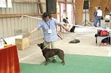 IMG_1816