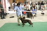 IMG_1819