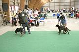 IMG_1824