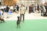 IMG_1839