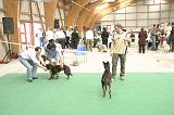 IMG_1840