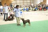 IMG_1843