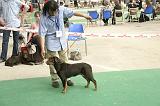 IMG_1845