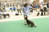 IMG_1855