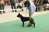 IMG_1856
