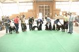 IMG_1859