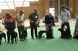 IMG_1861
