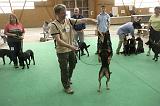 IMG_1870