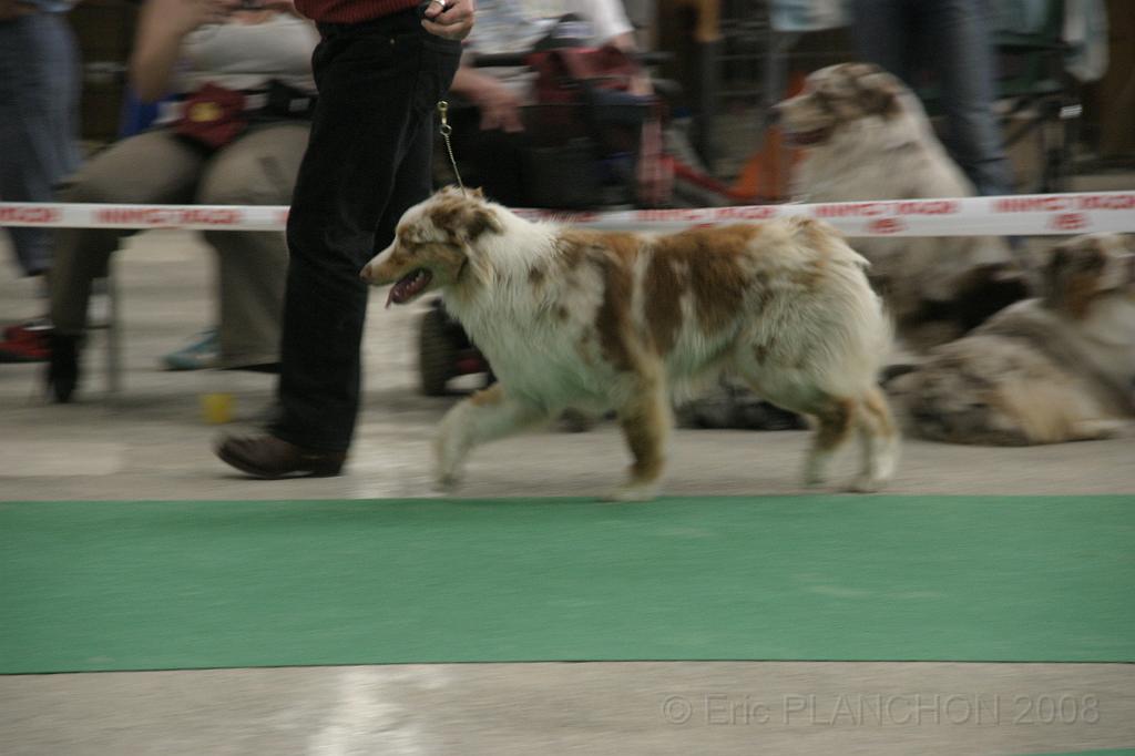 IMG_1039.JPG