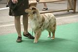 IMG_1528