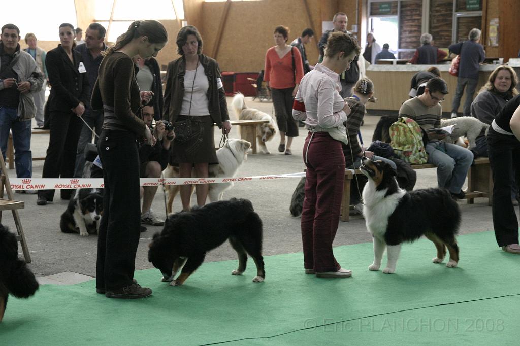 IMG_0480.JPG