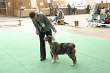 IMG_1634
