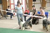 IMG_1638