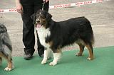 IMG_1652