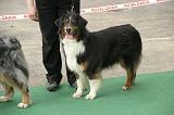 IMG_1653