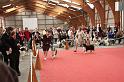 fem_cacs_0055