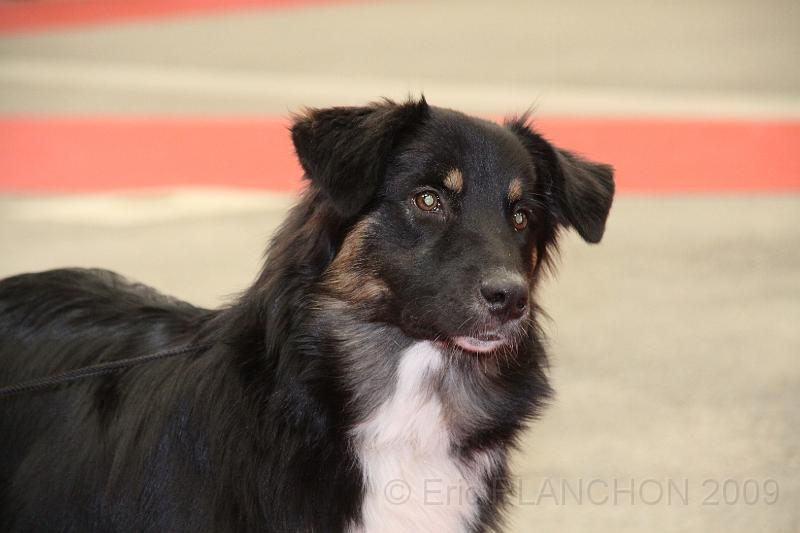 fem_pup_0001.JPG