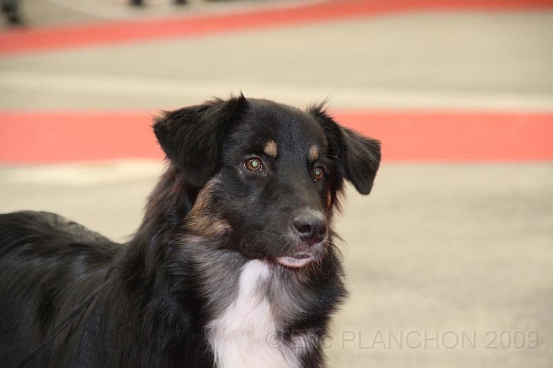 fem_pup_0003.JPG