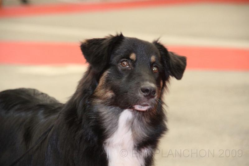 fem_pup_0005.JPG